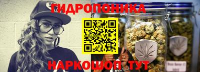 твердый Будённовск